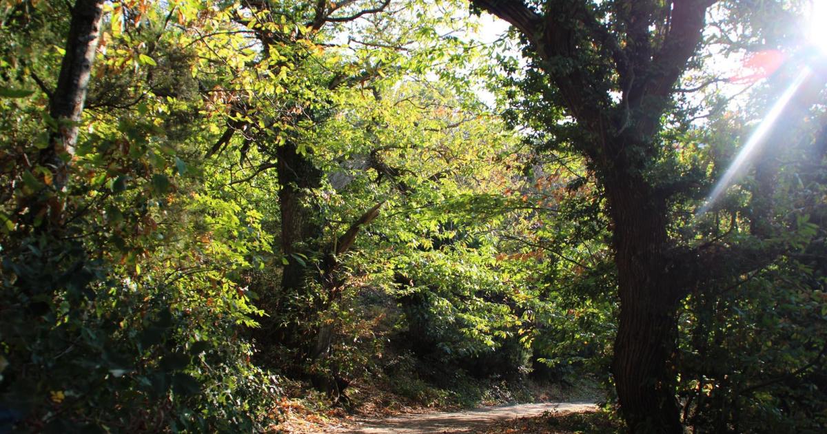 Au fin fond de la Cochinchine.