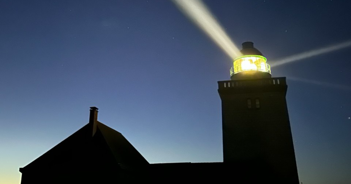 Panodyssey victime d'une attaque massive automatisée