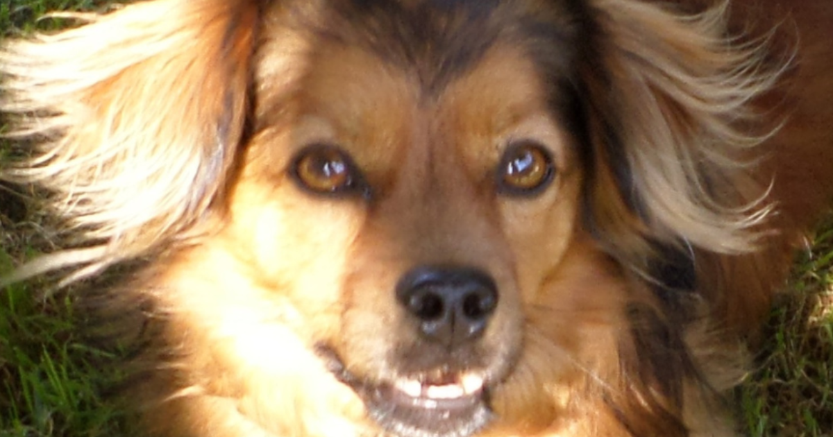 Le message de Sacha : Sécurité et confiance