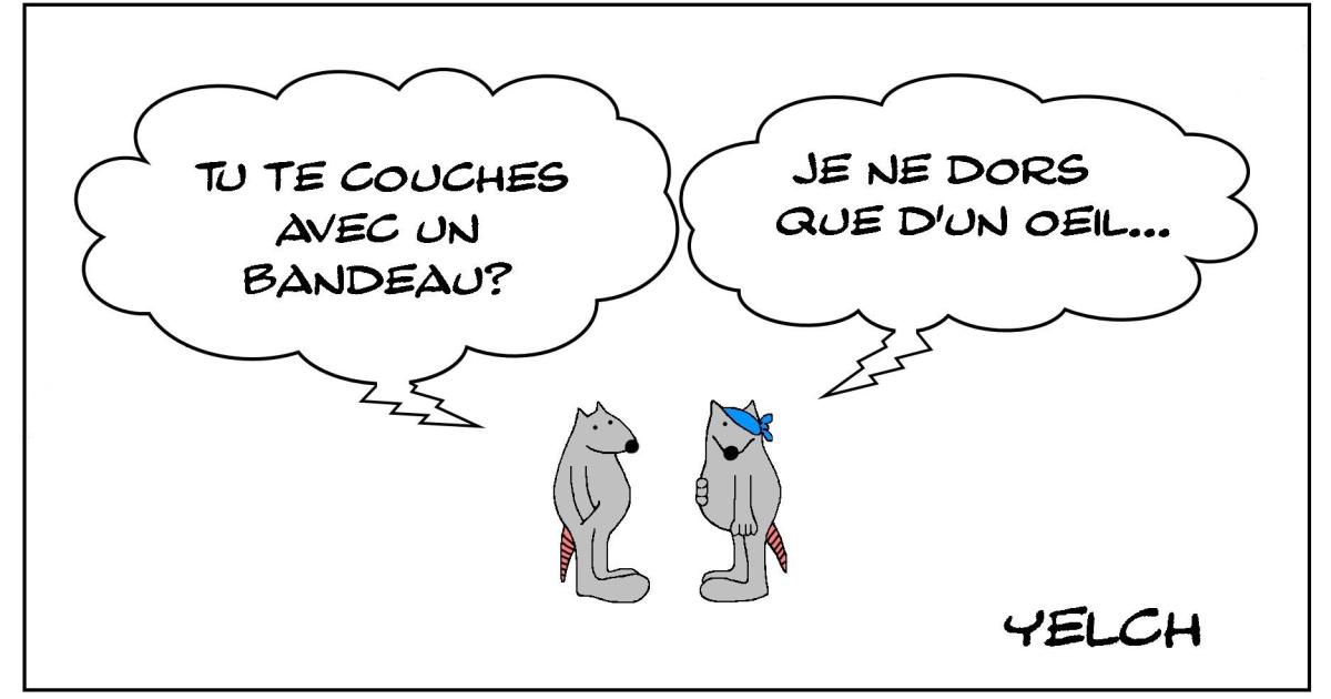 Le rat qui se couchait avec un bandeau sur l'oeil