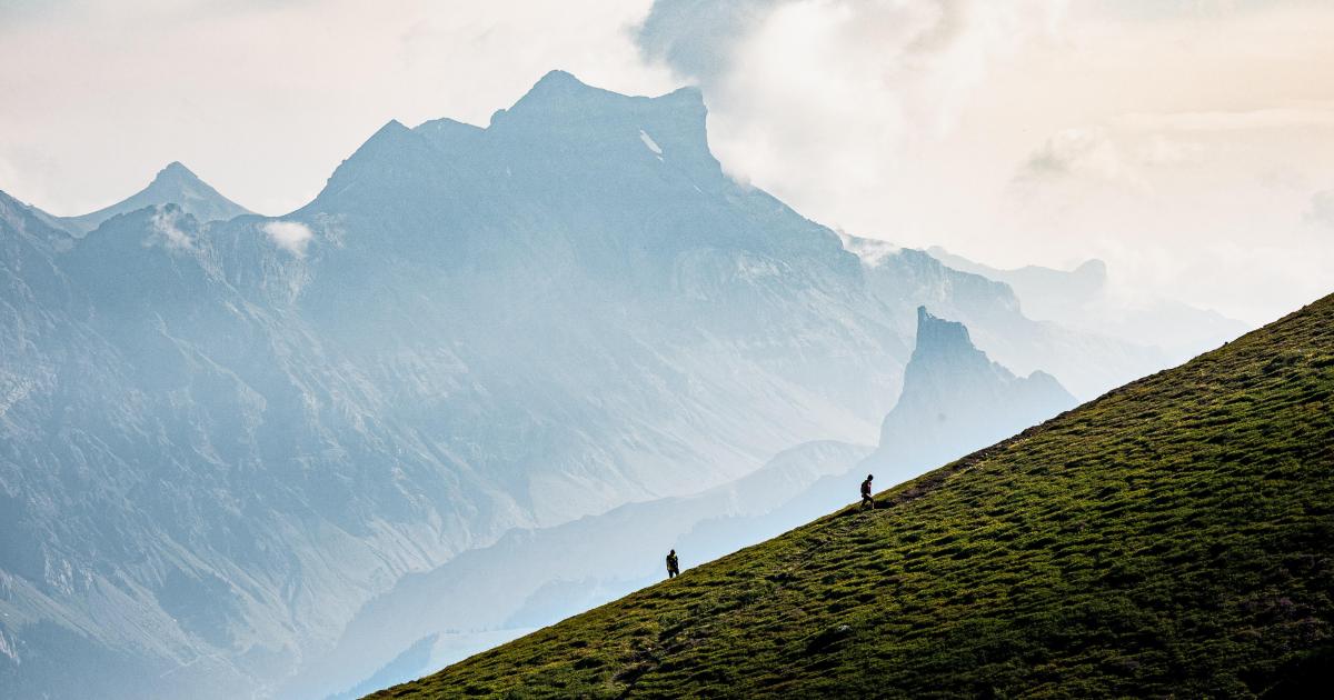 Compostelle malgré nous« Immortelle randonnée, Compostelle malgré moi » de Jean-Christophe Ruffin