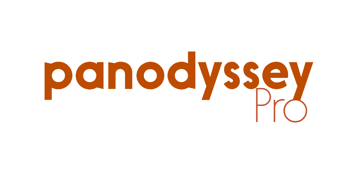 Panodyssey PRO : Comment valoriser des contenus de qualité sur le web en augmentant leur visibilité sans acheter de publicité ?