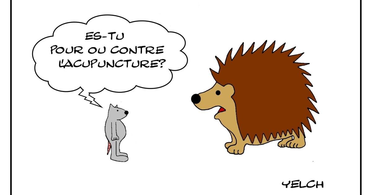 Le rat qui faisait un sondage sur l'acupuncture