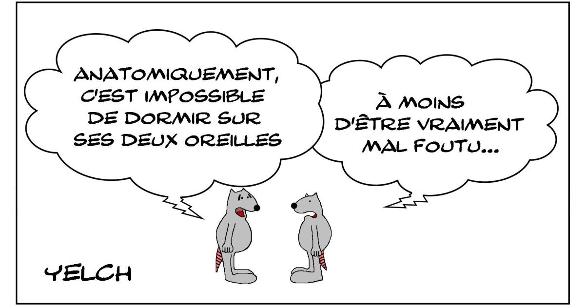 Le rat qui se plaignait de ne pas pouvoir dormir sur ses deux oreilles