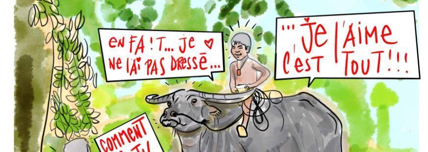 ZEN : LES DIX TABLEAUX DU DRESSAGE DU BUFFLE