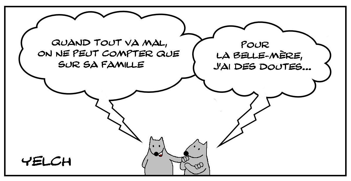 Tout sauf la belle-mère