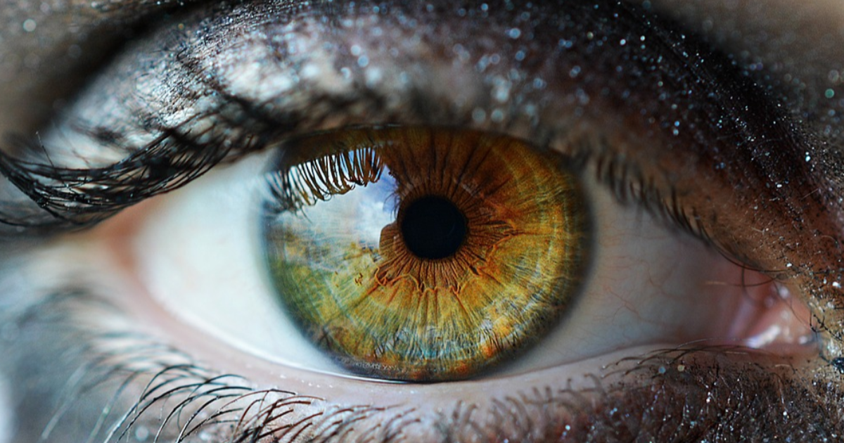 Lentille