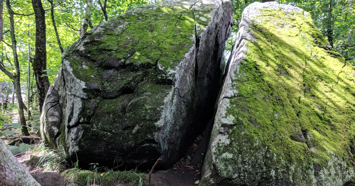 La fissure