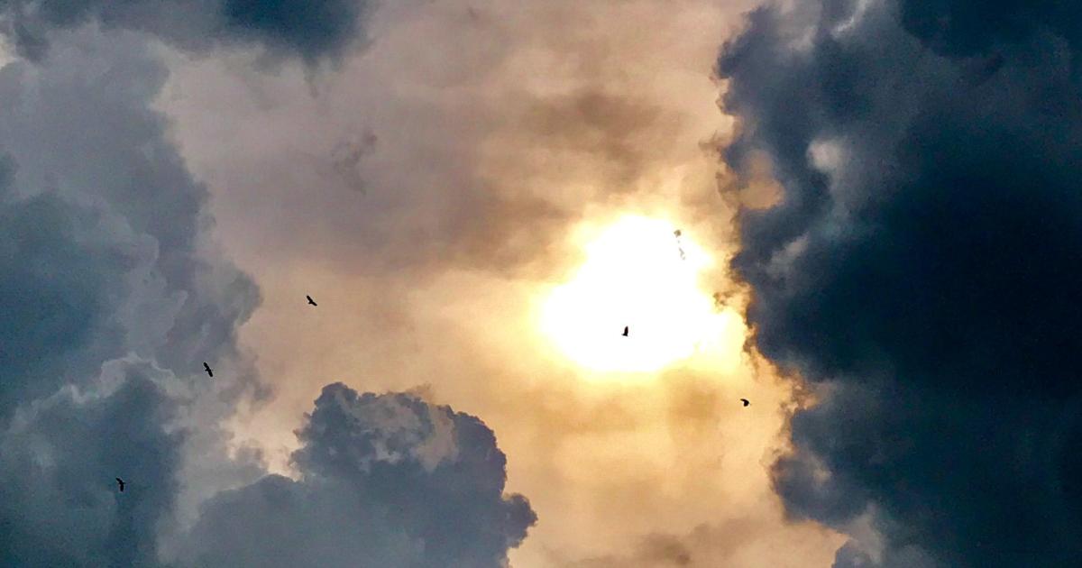 Pluie sur Zanzibar
