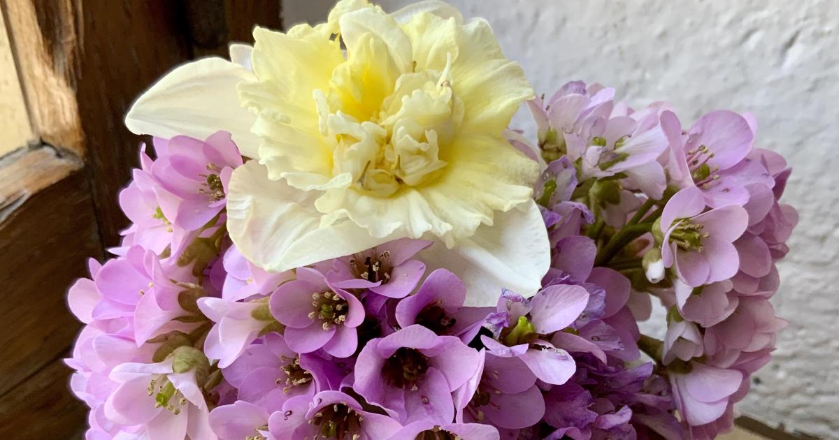 Le bouquet du Dimanche 6 Mars