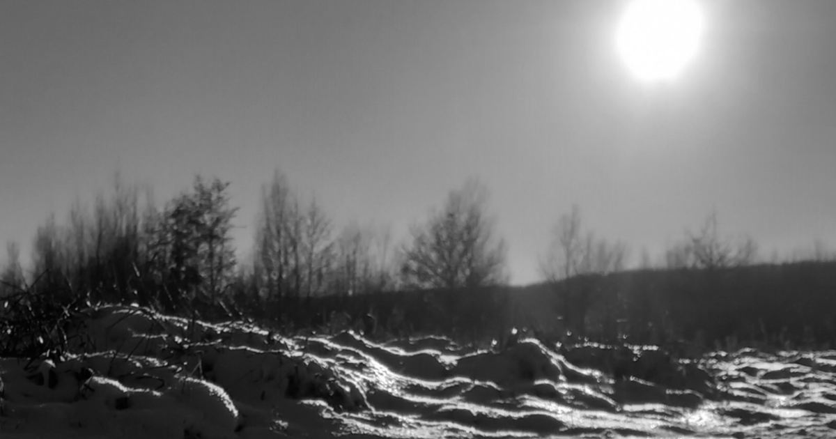 La Fable du manchot.