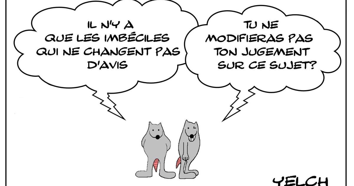 Le rat et les imbéciles