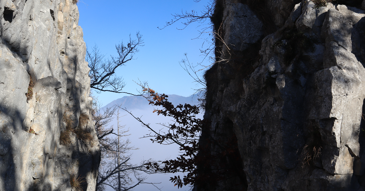 Sports extrêmes : Les biographies d’Uli Emanuele et de Hannes Arch