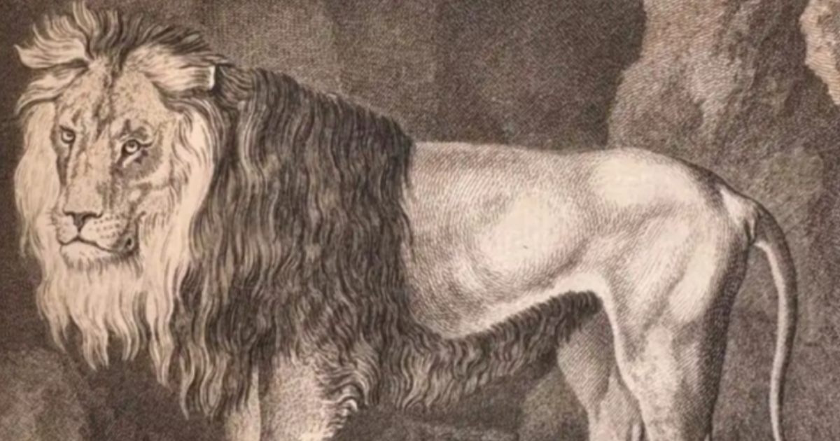 LII : LA MONADE ET LE MIROIR DU MONDE