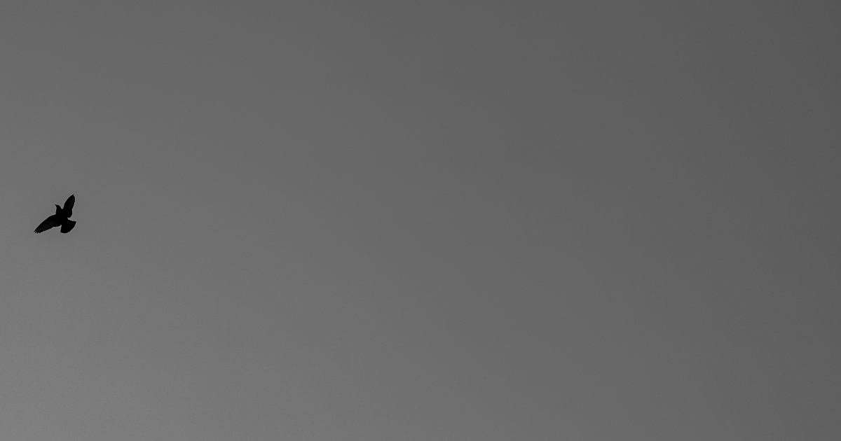 s'entremurmurer (v.)