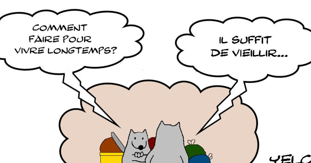 RATPSODIES - BEST OF SUMMER 2023 - 14