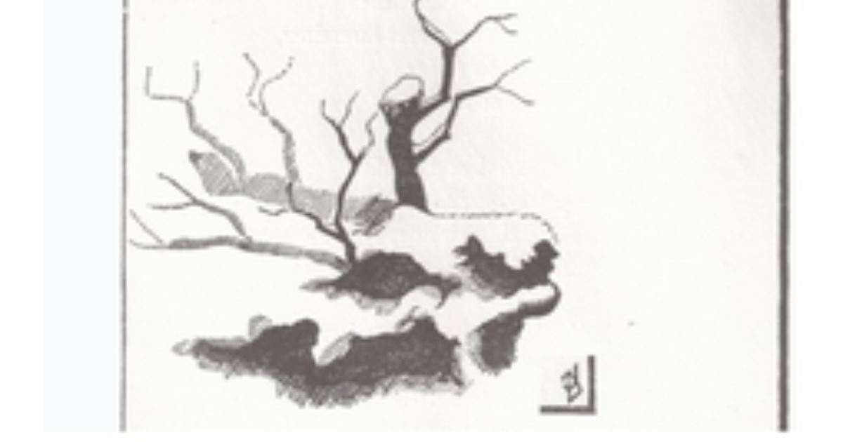 Anecdote météo, neige fin avril 1765 à Carcassonne