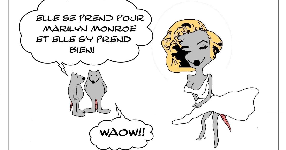 Certains l'aiment chaude