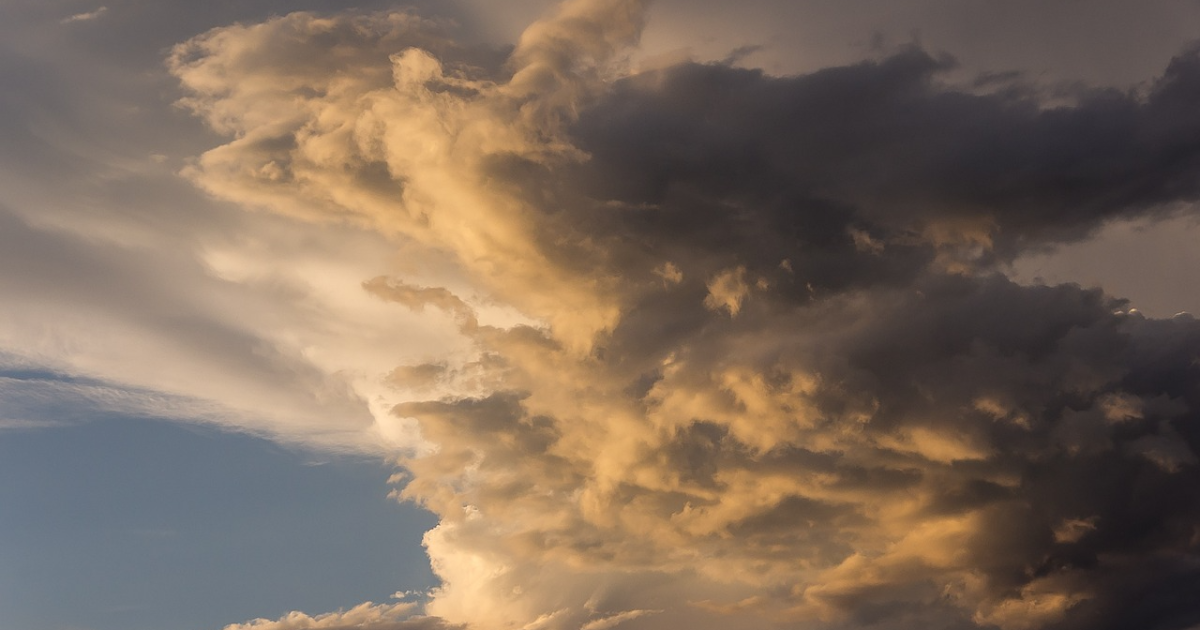 Haïku : Bouton ( Linktober2025)