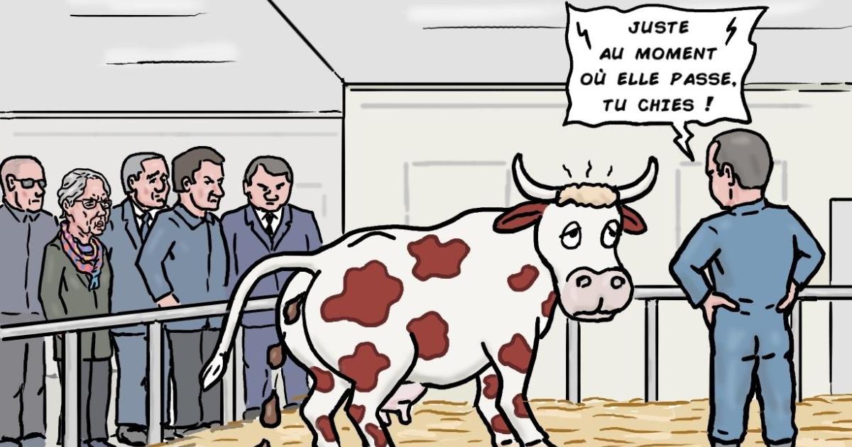 Elisabeth Borne au Salon de l'Agriculture