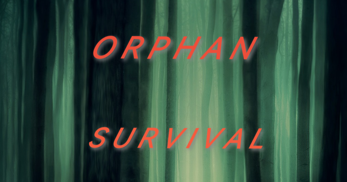 Chapitre 3 - Identité