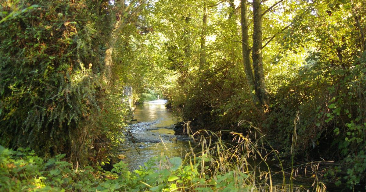 Au bord de "La Sinope"