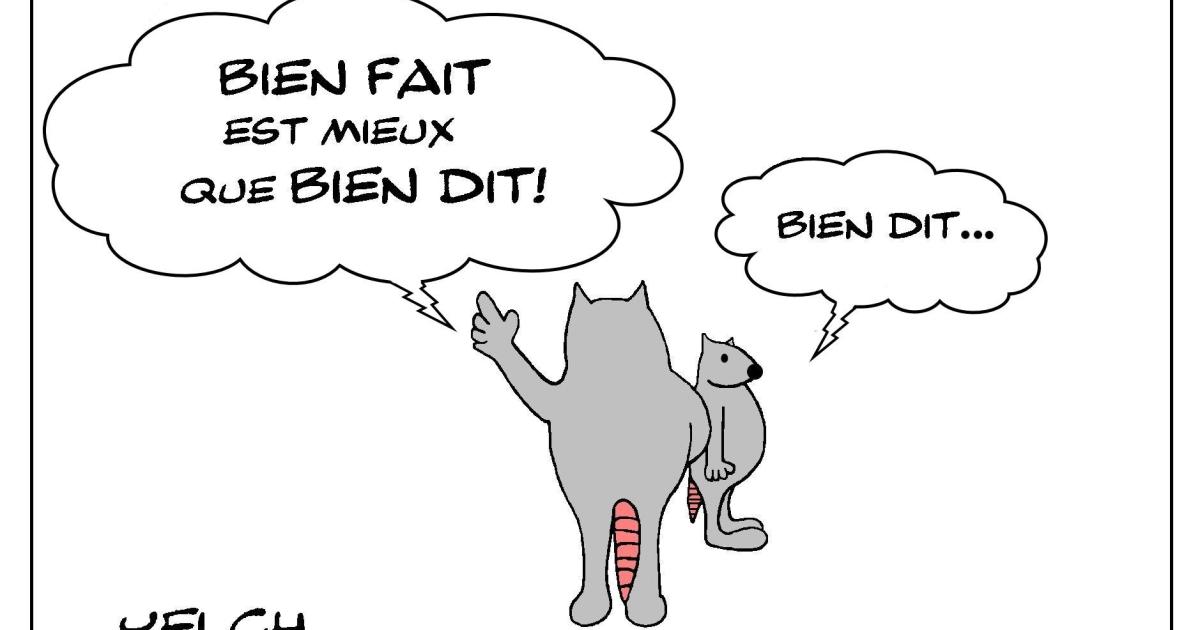 Bien fait mais aussi bien dit