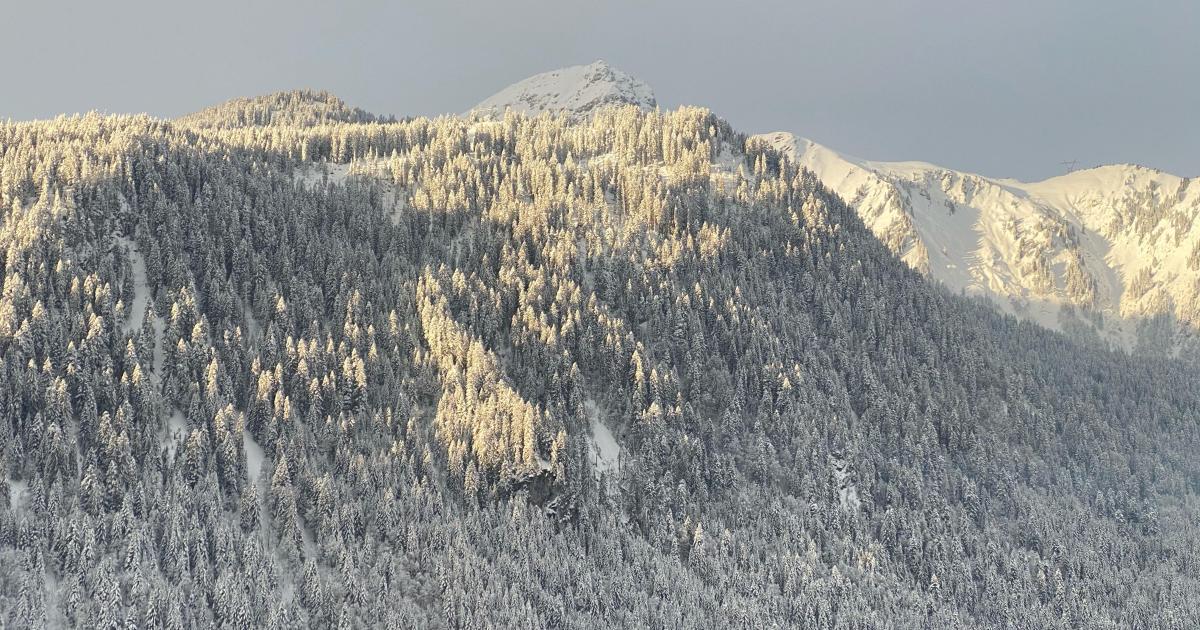 Dédicace à mon Cher ami Frédéric ❤️