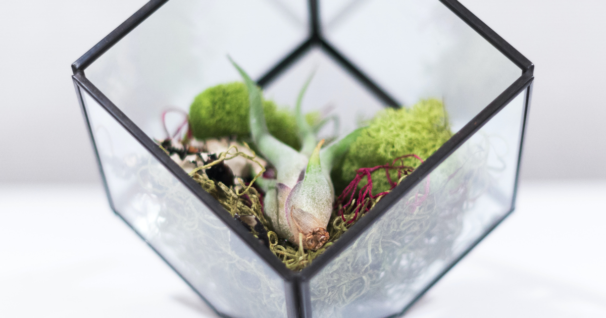 Je crée mon terrarium de Pierre Eyssartier