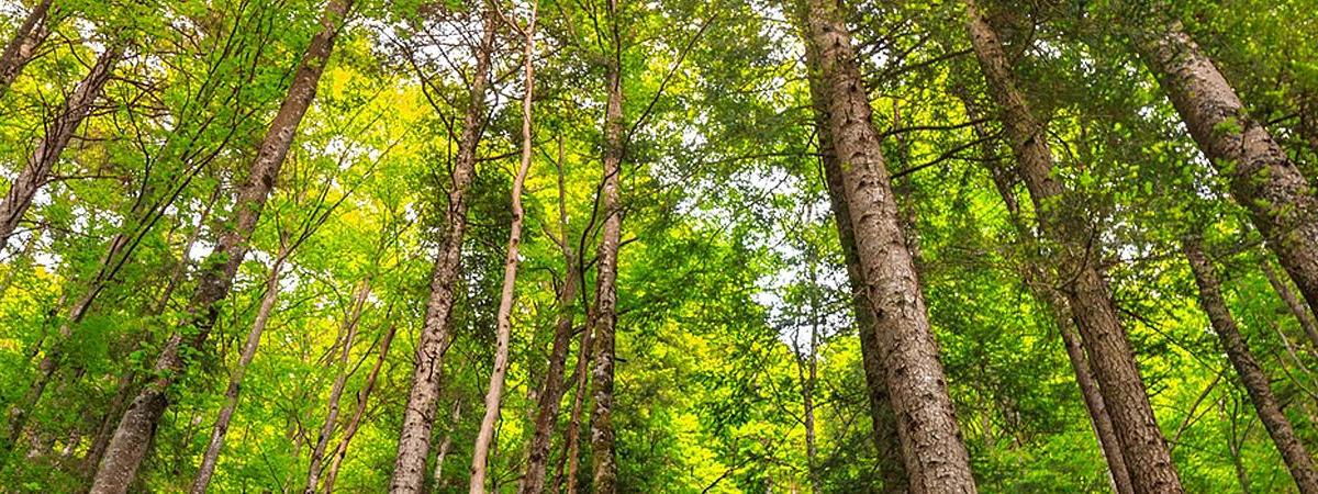 2022-04-16 (jeu de mots #0001)