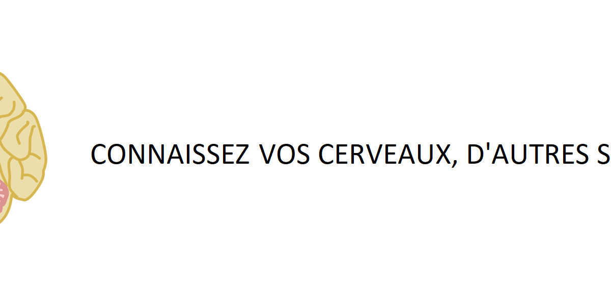 Détournement de l'amygdale du cerveau : tous hackés par le narratif de la peur ?