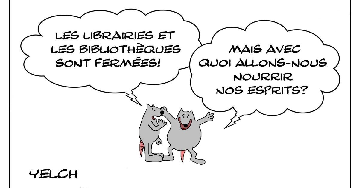 Touche pas à mes bouquins