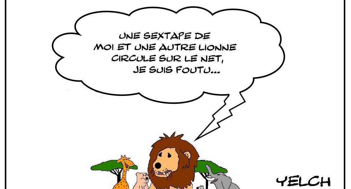 La sextape du lion