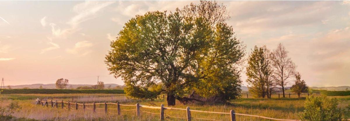 La Terre s’offre un printemps.