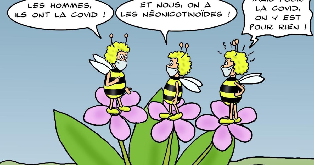 SOS, abeilles en danger !