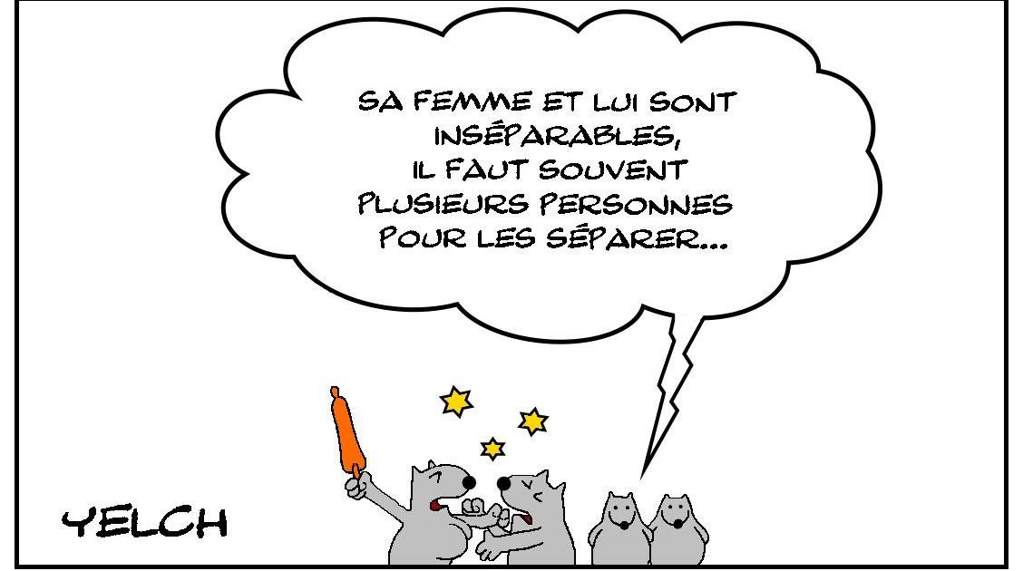 Durement inséparables