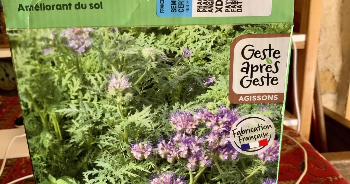 Le jardin du 6 Août