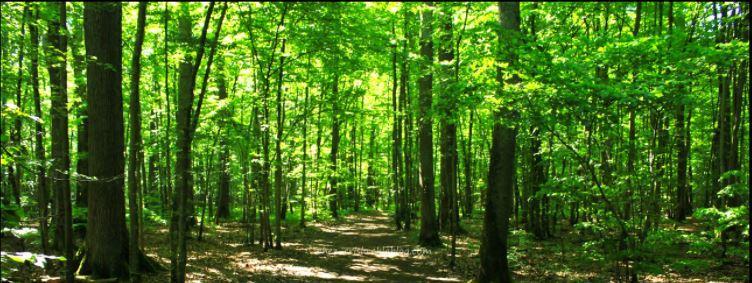 Une rencontre possible