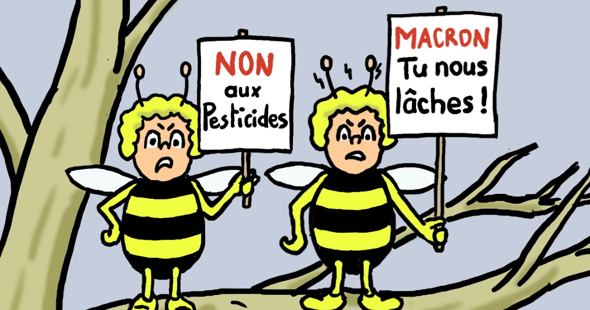 abeilles en péril