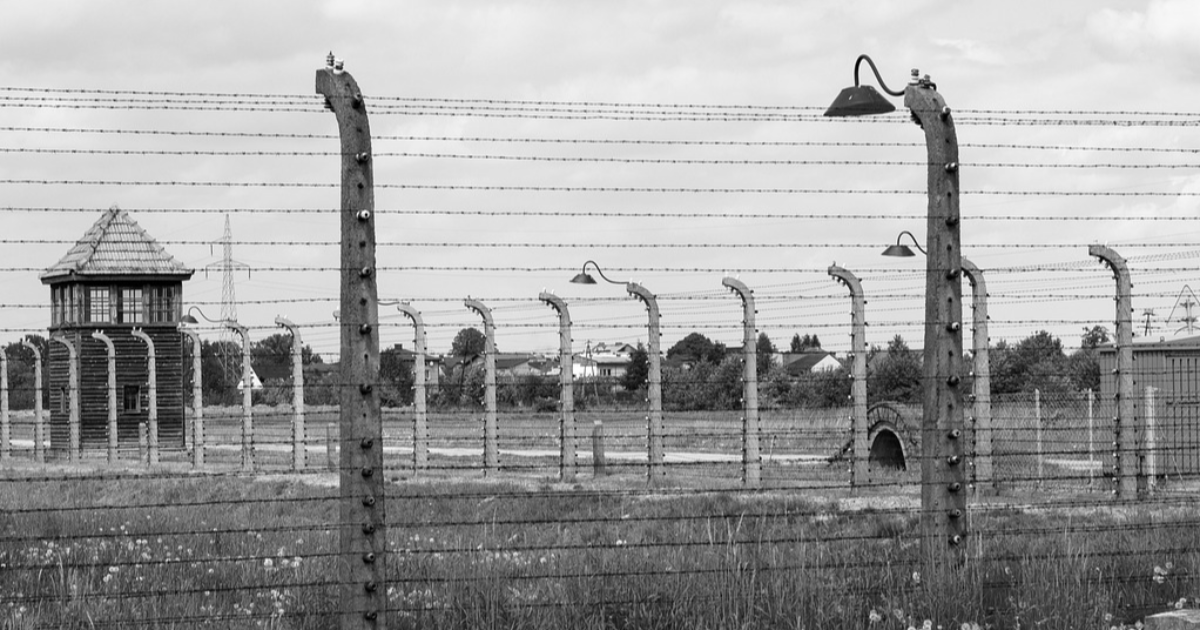 Retour à Birkenau de Ginette Kolinka
