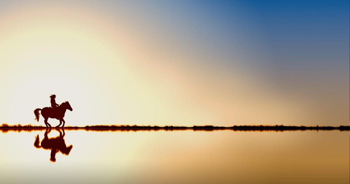 Ecurie Kevyn Thonnerieux :Nos partants vendredi à Cagnes-sur-Mer