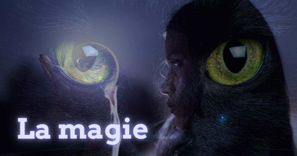 Magie