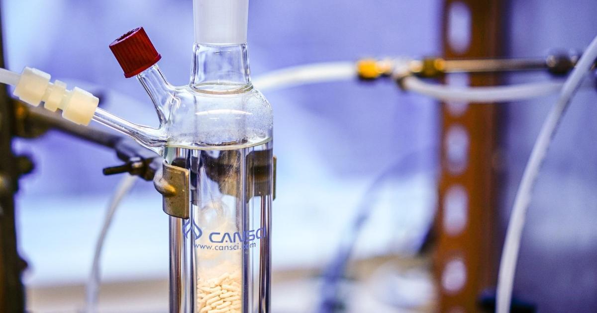 22/11/2022 : Labile : lactescent :