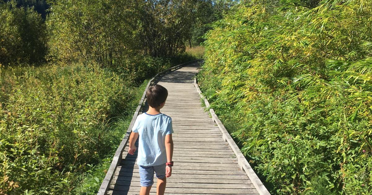 Monsieur le Président, je vous fais une bafouille...
