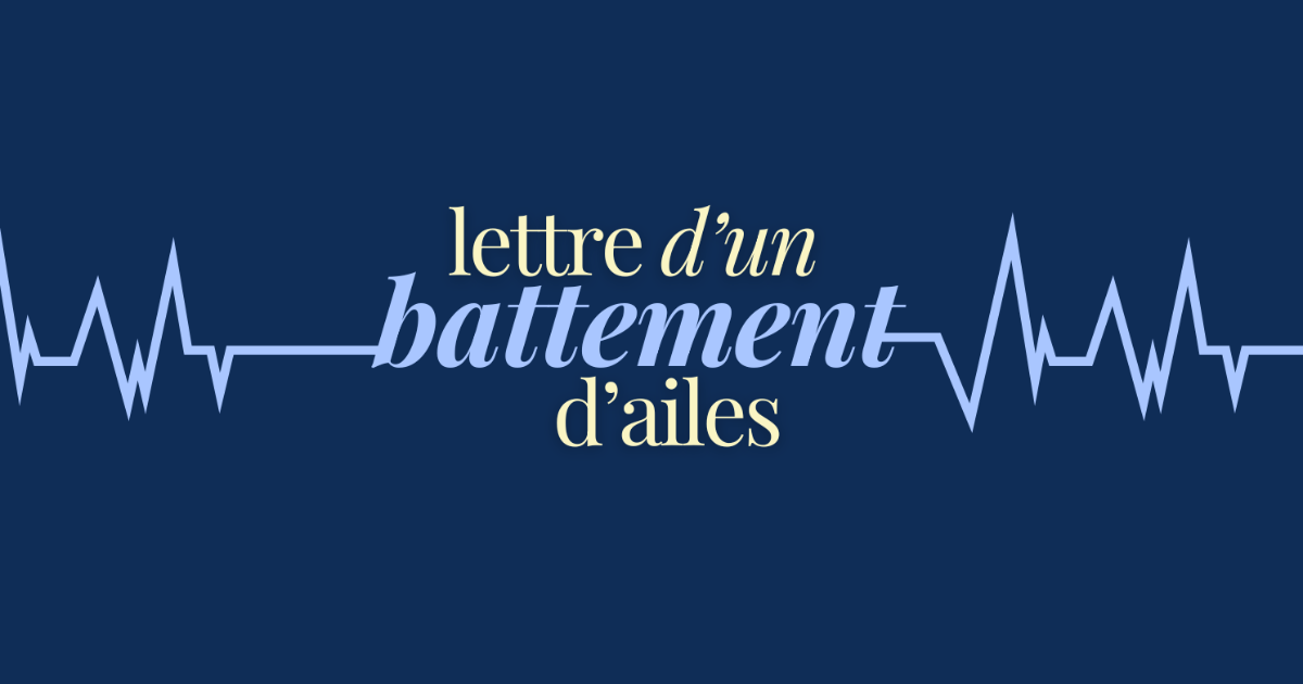 Lettre d'un battement d'ailes