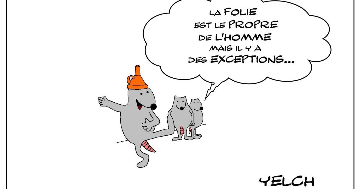 la folie n'est pas que le propre de l'homme , il y a aussi des rats fous...