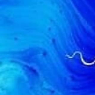 Moua qui mange les mots au p'tit matin,