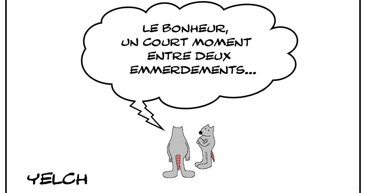 Bonheur et emmerdements