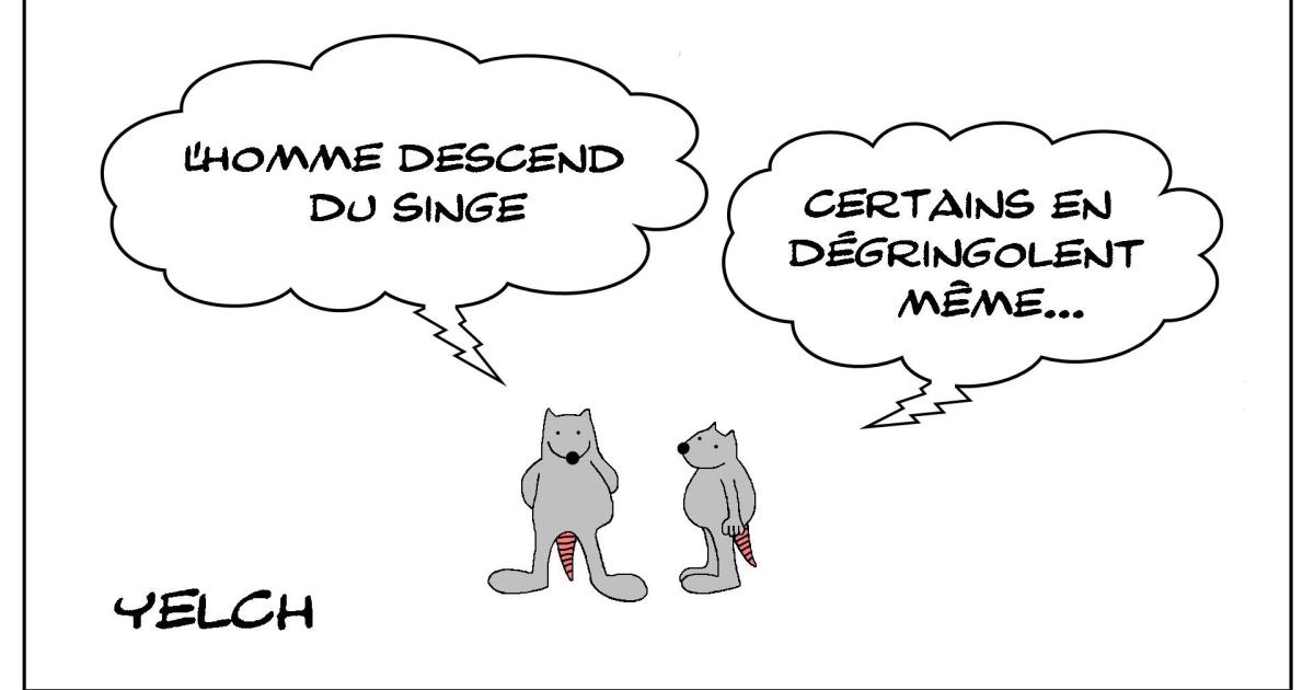 Le rat qui s'intéressait à la paléoanthropologie