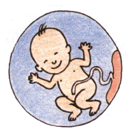 6-Bienvenue mon bébé !